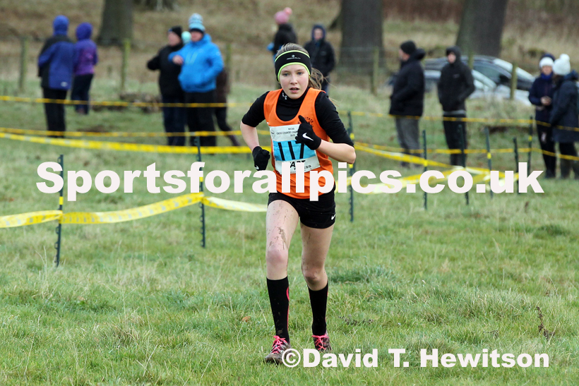 Girls under-13s cross country, 2019 North Eastern Cross Country Champs., Alnwick, Northumberland.  Photo: David T. Hewitson/Sports for All Pics